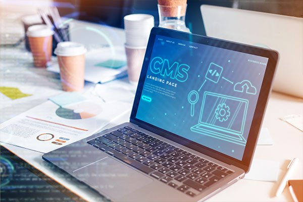 CMS Website Development
